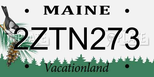 2ZTN273 Maine License Plate