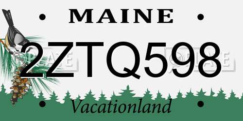 2ZTQ598 Maine License Plate
