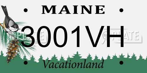 3001VH Maine License Plate