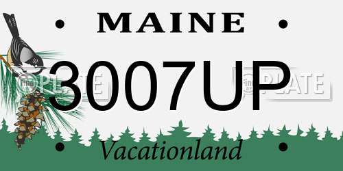 3007UP Maine License Plate