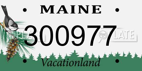 300977 Maine License Plate