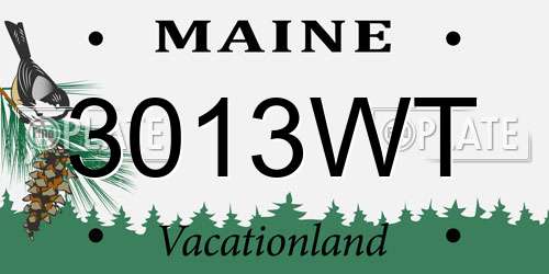3013WT Maine License Plate