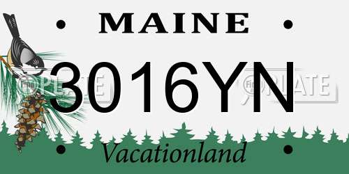 3016YN Maine License Plate