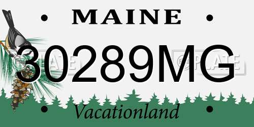 30289MG Maine License Plate