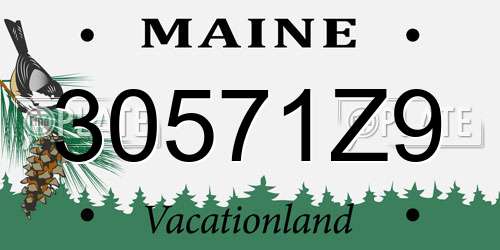 30571Z9 Maine License Plate