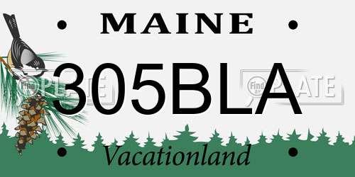 305BLA Maine License Plate