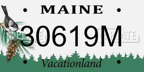 30619M Maine License Plate