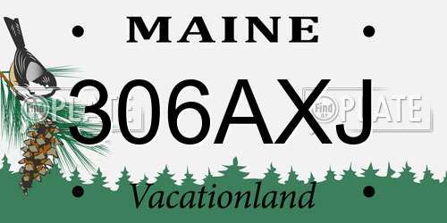 306AXJ Maine License Plate