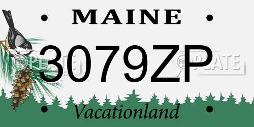 3079ZP Maine License Plate