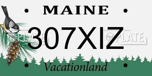 307XIZ Maine License Plate