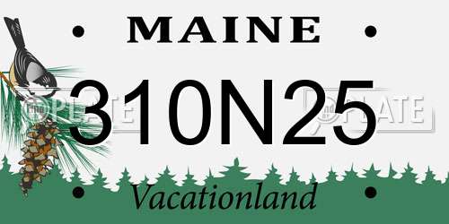 310N25 Maine License Plate