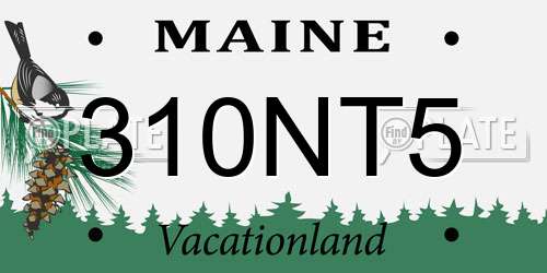 310NT5 Maine License Plate