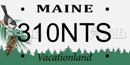 310NTS Maine License Plate