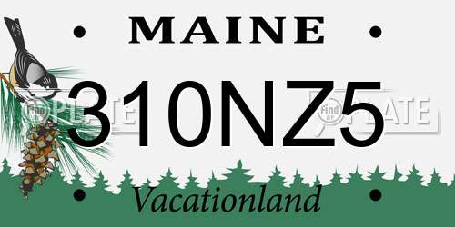 310NZ5 Maine License Plate