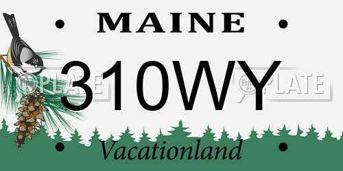 310WY Maine License Plate
