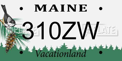 310ZW Maine License Plate