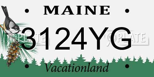 3124YG Maine License Plate