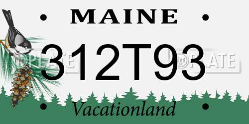 312T93 Maine License Plate