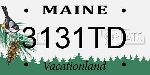 3131TD Maine License Plate