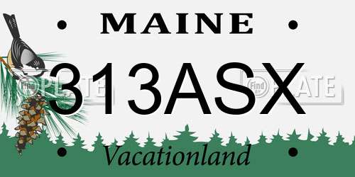 313ASX Maine License Plate