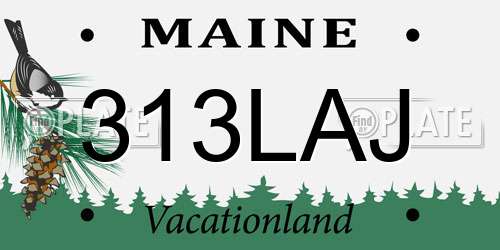 313LAJ Maine License Plate