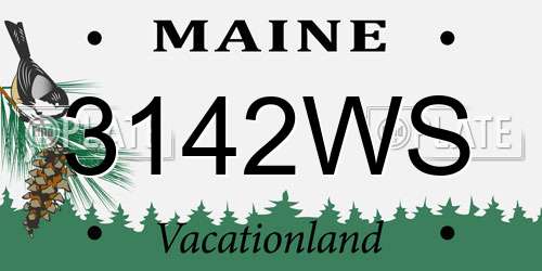 3142WS Maine License Plate