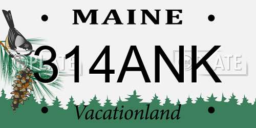 314ANK Maine License Plate