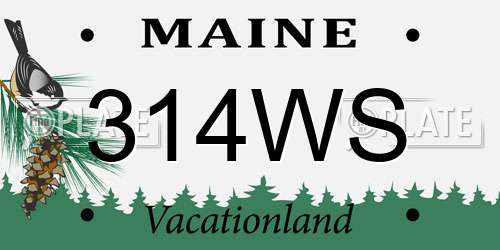 314WS Maine License Plate