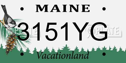 3151YG Maine License Plate