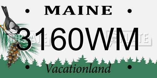 3160WM Maine License Plate