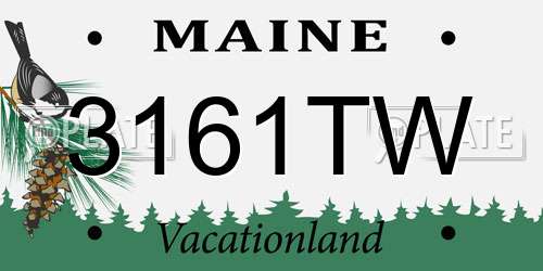 3161TW Maine License Plate