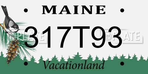 317T93 Maine License Plate