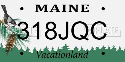 318JQC Maine License Plate