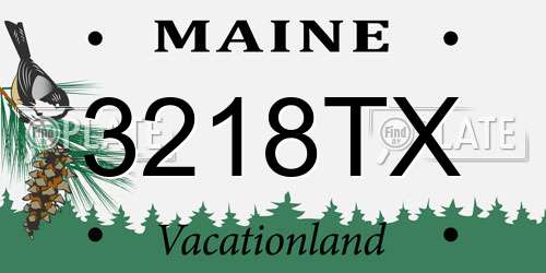 3218TX Maine License Plate