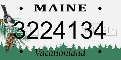 3224134 Maine License Plate