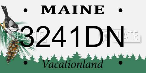 3241DN Maine License Plate