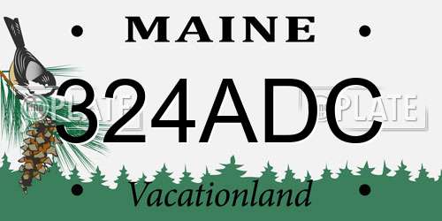 324ADC Maine License Plate