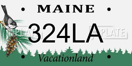324LA Maine License Plate