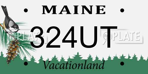 324UT Maine License Plate