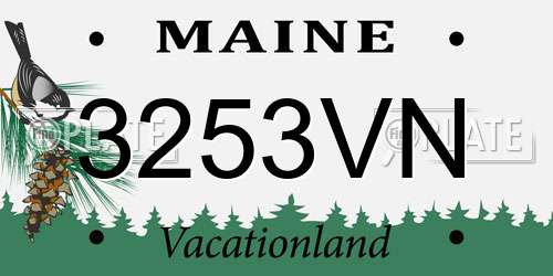 3253VN Maine License Plate