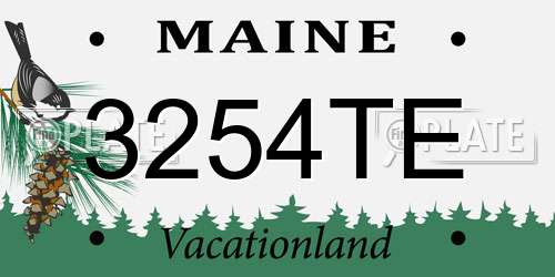 3254TE Maine License Plate
