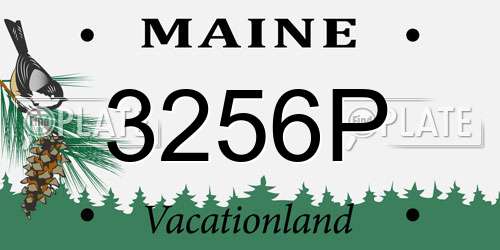 3256P Maine License Plate
