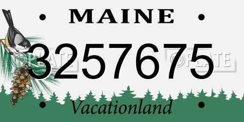 3257675 Maine License Plate