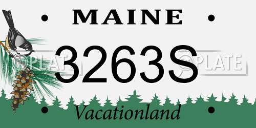 3263S Maine License Plate