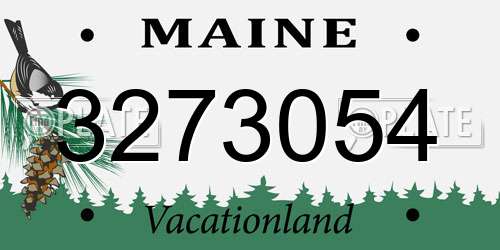 3273054 Maine License Plate