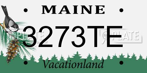 3273TE Maine License Plate