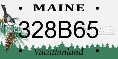 328B65 Maine License Plate
