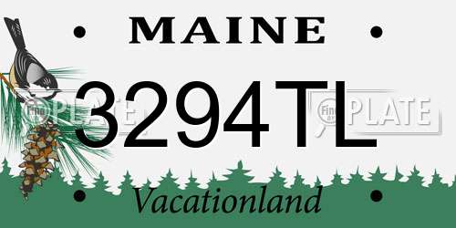 3294TL Maine License Plate