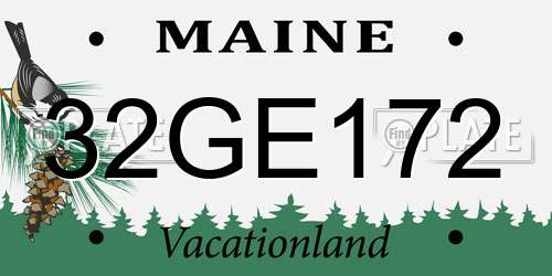 32GE172 Maine License Plate