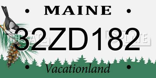 32ZD182 Maine License Plate